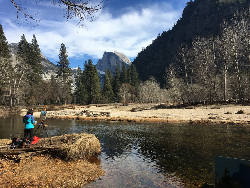 Yosemite with Friends
