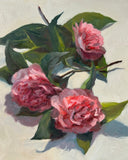 Three Camellias in Oil - Original Oil Painting