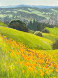 Poppies on Mulholland - Original Gouache Painting