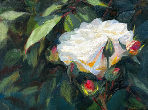 The First Bloom - Original Oil Painting