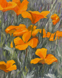 Front Yard Poppies - Original Oil Painting