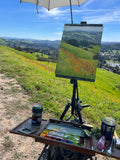 Poppies on Mulholland - Original Gouache Painting