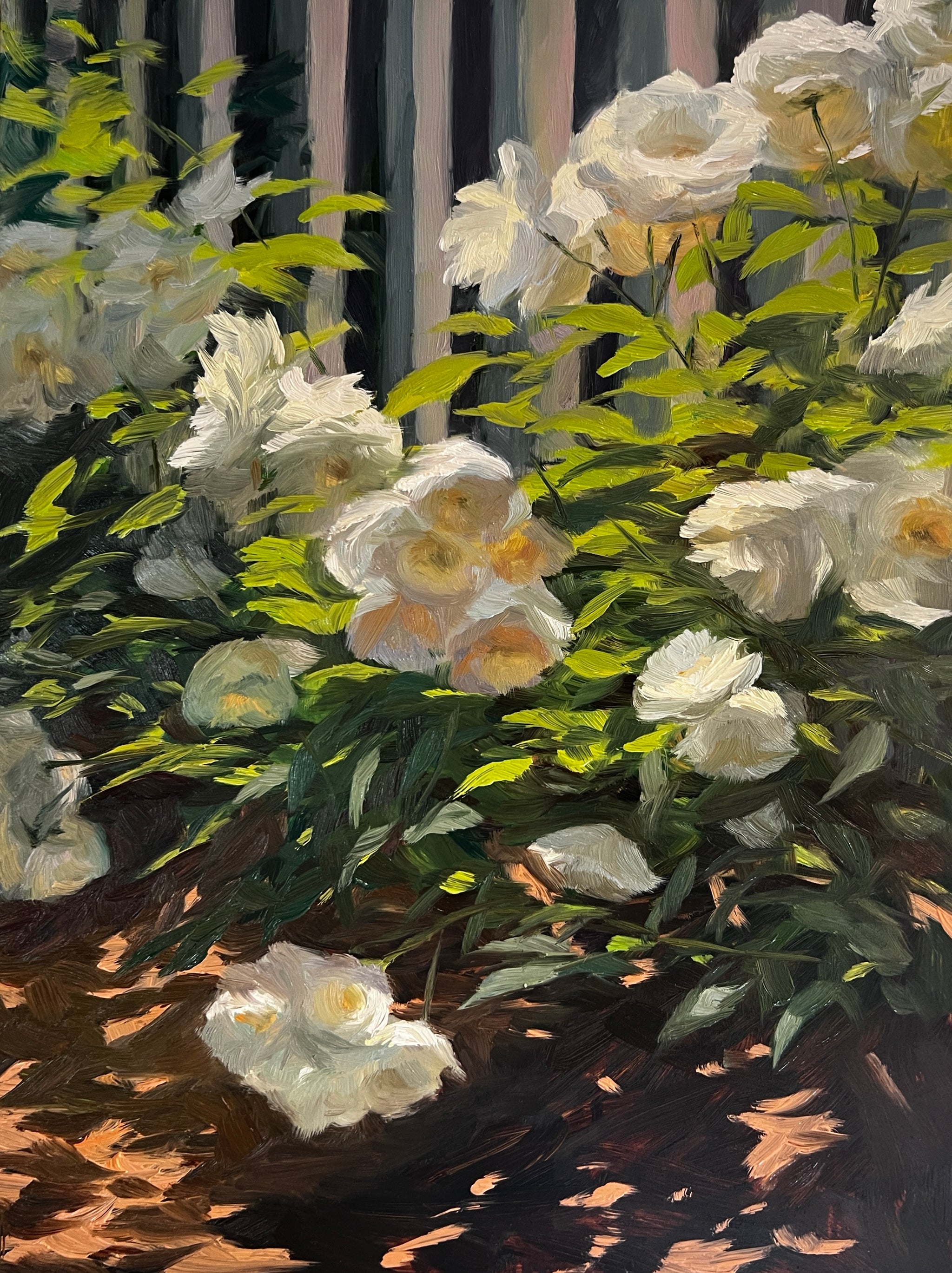 05_16_23_fencelinewhiteroses_1
