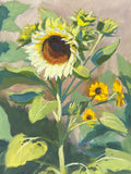 Early Sunflower - Original Gouache Painting