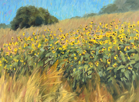 Wild Sunflowers - Original Oil Painting