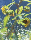 Sunflowers and Radish Flowers