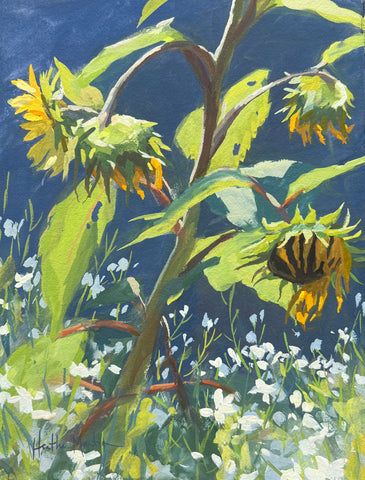 Sunflowers and Radish Flowers