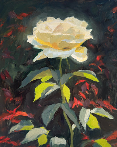 Glowing White Rose - Original Oil Painting