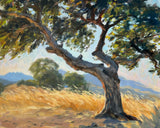Locals' Favorite Tree - Original Oil Painting