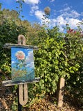Peach Rose Up High - Original Oil Painting