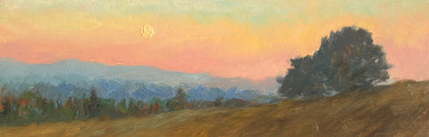 Morning Meditation 38 - Original oil painting