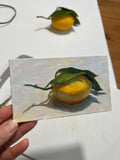 Single Small Lemon - Original Oil Painting