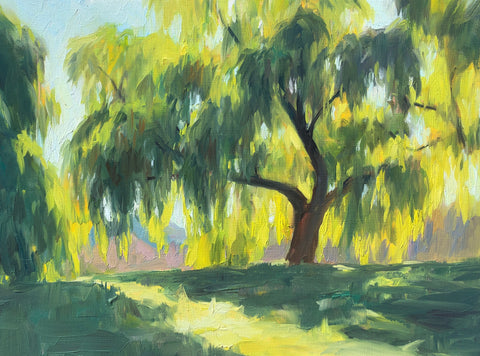 Willow in Morning Light - Original Oil Painting