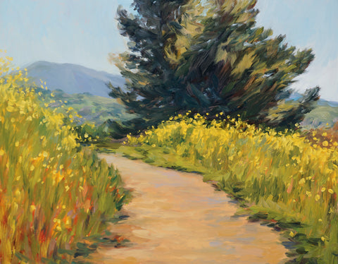 Wildflowers on Limeridge - Original Oil Painting