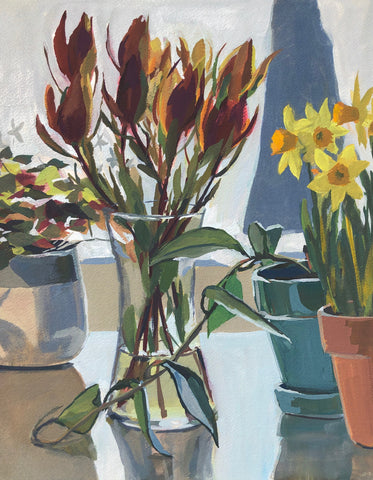 Proteas in Sunlight - Original Gouache Painting