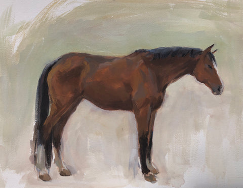 Horse Profile - Original Gouache Painting