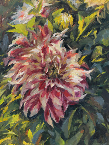 Dinnerplate Dahlias - Original Oil Painting