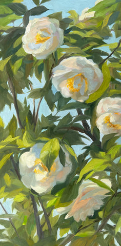 White Camellias under a Blue Sky - Original Oil Painting