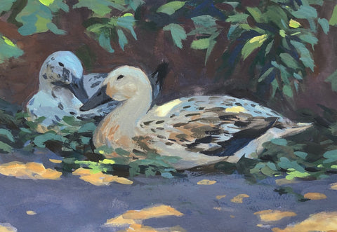 Ducks under Dappled Light - FRAMED -  Original Gouache Painting