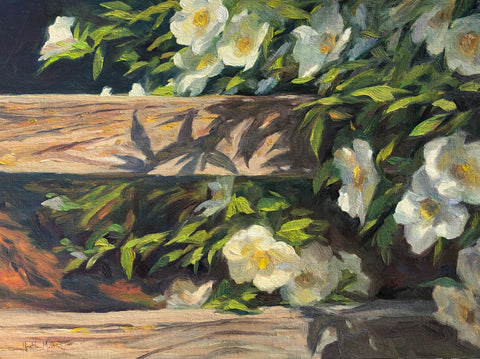 Cherokee Rose Along Fence - Original Oil Painting